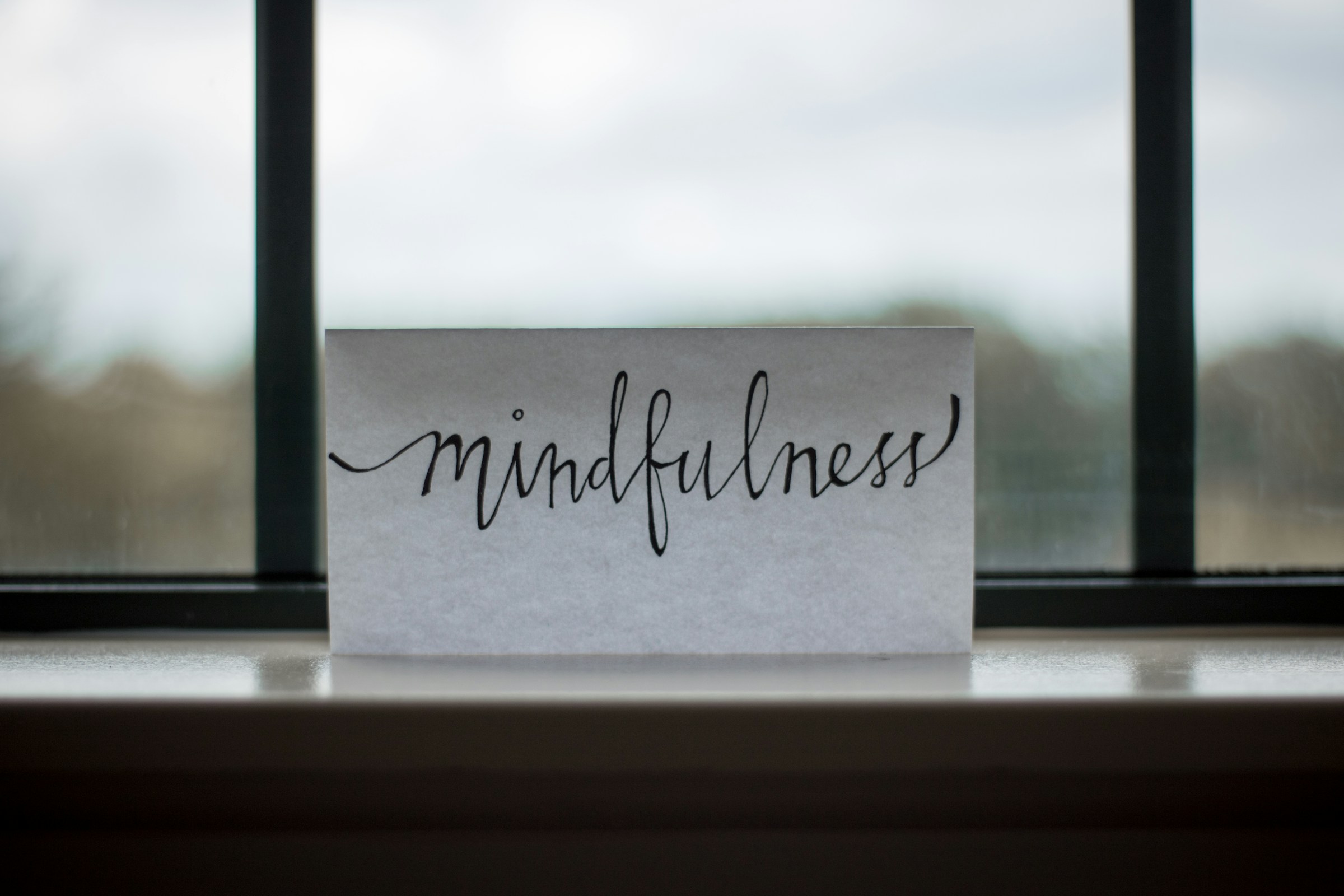 image for Finding Power in the Pause: A Reflection on Viktor Frankl